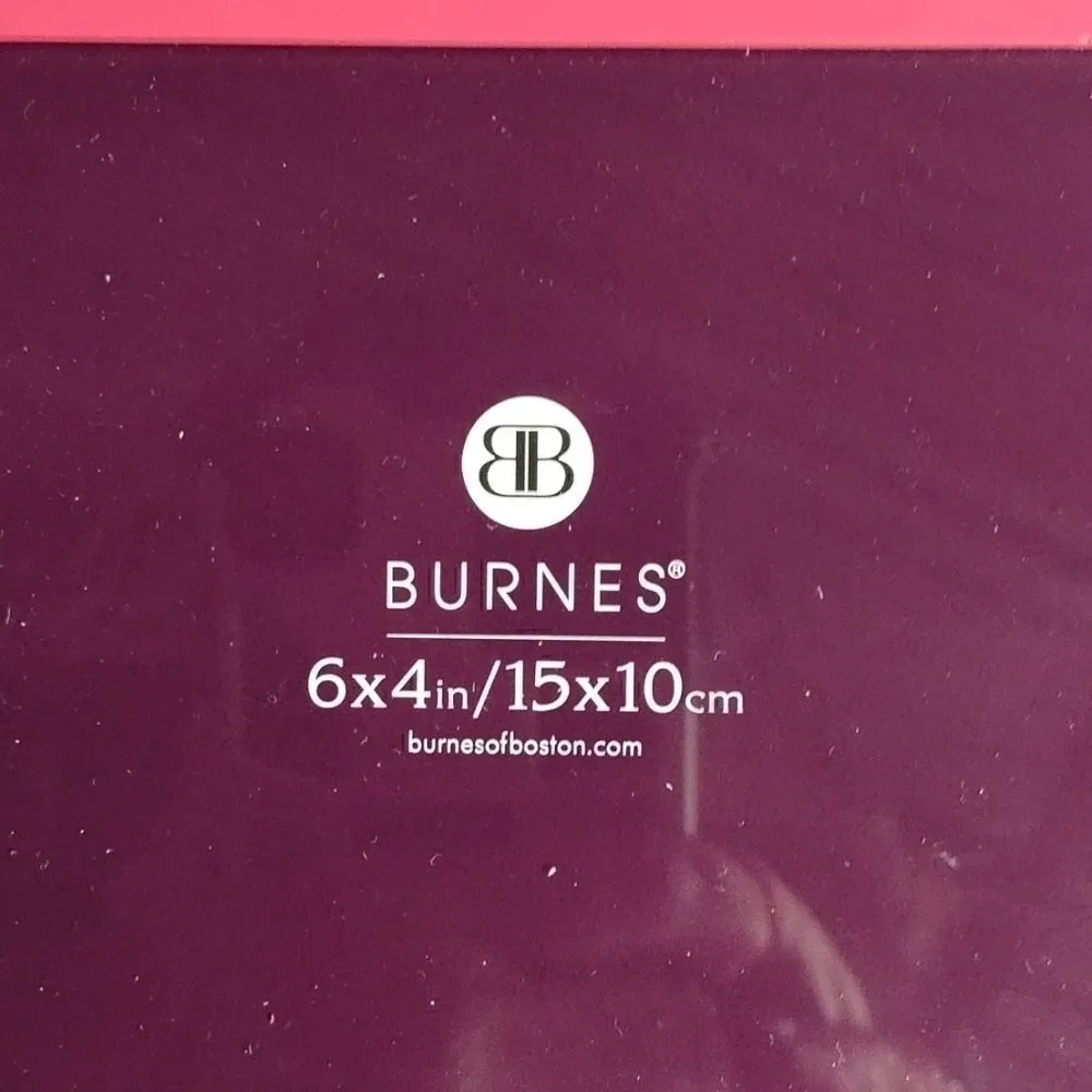 Burnes Of Boston this frame